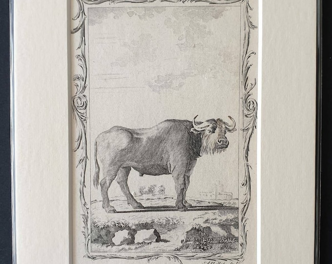 Original 1791 Buffon print - Buffalo