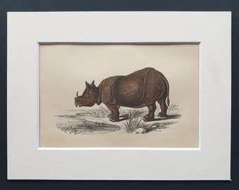 The Rhinoceros - Original 1851 John Tallis woodblock print