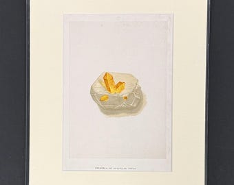 Crystals of Brazilian Topaz - Original 1892 Antique Precious Stones & Gems Print