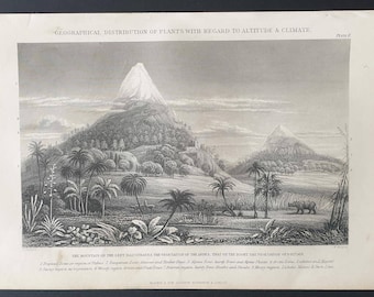 Geographical Distribution of Plants, Altitude and Climate - Original 1877 The Vegetable Kingdom engraving