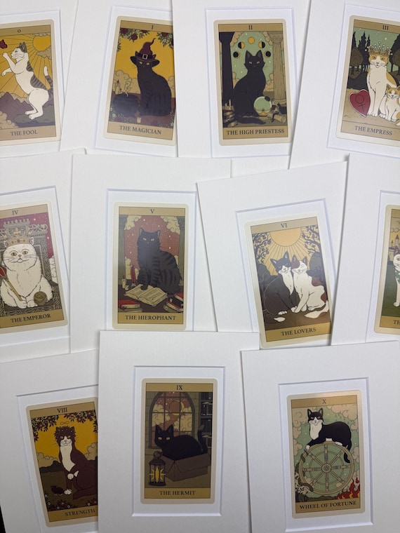 Original Cat Tarot Card in Mount - 0 - 10