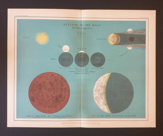 Original c1906 Astronomy print - Plate 6