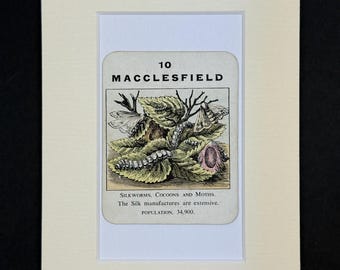 Macclesfield - Original Vintage Counties of England Card in Mount