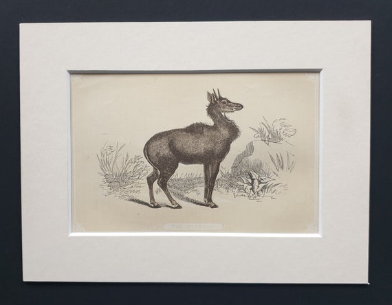 The Nylchau - Original 1851 John Tallis woodblock print