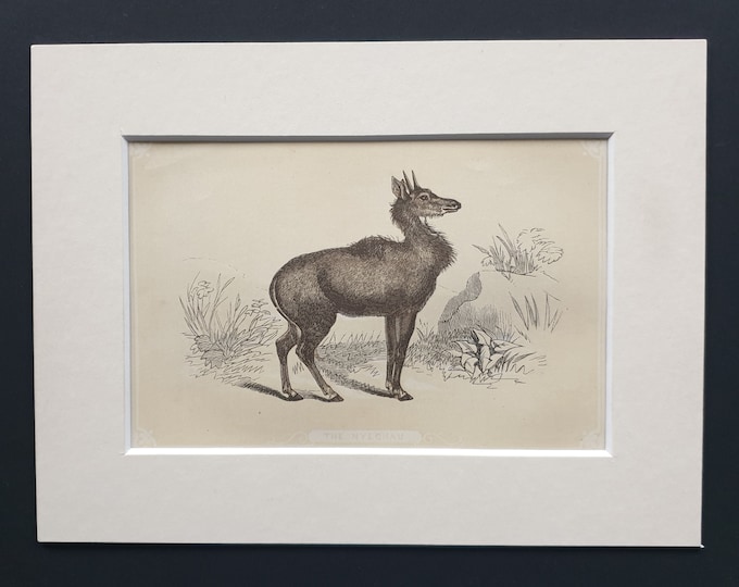 The Nylchau - Original 1851 John Tallis woodblock print