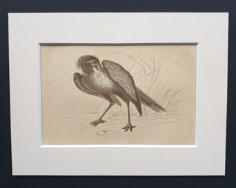 The Secretary - Original 1851 John Tallis woodblock print