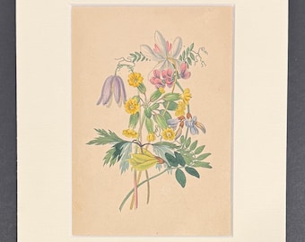 Plants, Flowers & Leaves