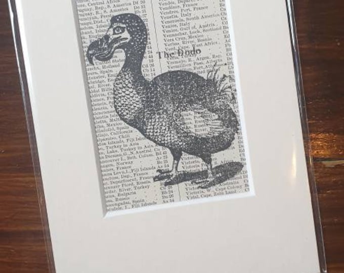 Dodo - hand printed on original antique page in mount.