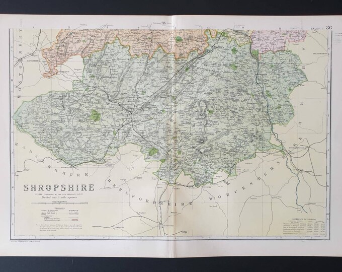 Original 1901 Large Antique County map -  Shropshire South