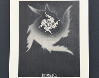 Fashion & Advertising