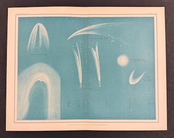Comets - Original 1903 Antique Print