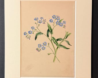 The Forget-Me-Not - Original 1840 Hand Coloured Print