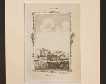 Roselet - Original 1791 Buffon print in mount