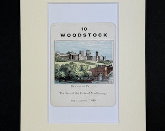 Woodstock - Original Vintage Counties of England Card in Mount