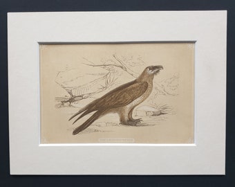 The Laemmer Geyer - Original 1851 John Tallis woodblock print
