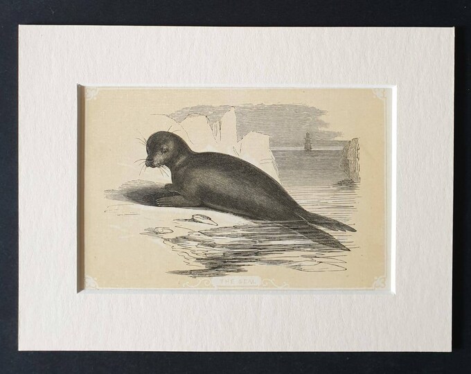 Original 1851 John Tallis woodblock print - The Seal