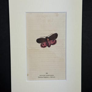 Op de afbeelding: Een set van drie keramische mokken met een gespikkelde, matte afwerking. Elke mok heeft een andere kleur: lichtblauw, crème en grijs. De mokken hebben een eenvoudig, modern ontwerp met een afgeronde vorm en een comfortabele handgreep.