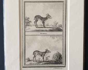 Memina/ Memina of Cylon - Original 1812 Buffon print