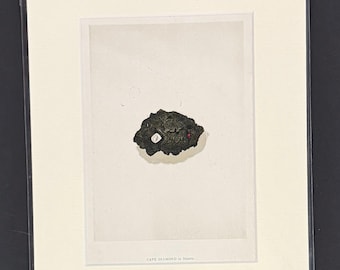 Cape Diamond in Matrix - Original 1892 Antique Precious Stones & Gems Print