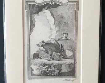 Large Headed Bat - Original 1791 Buffon print