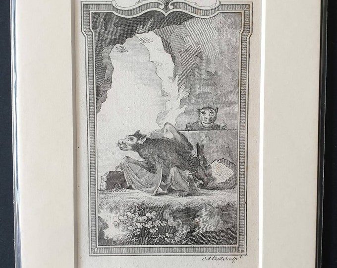 Original 1791 Buffon print - Large Headed Bat