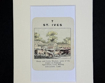 St. Ives - Original Vintage Counties of England Card in Mount