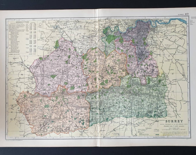 Original 1900 Large Antique County map -  Surrey
