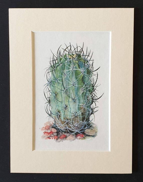 Original 1965 cacti print in a mount