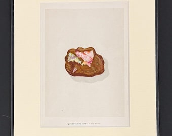 Queensland Opal in the Matrix - Original 1892 Antique Precious Stones & Gems Print