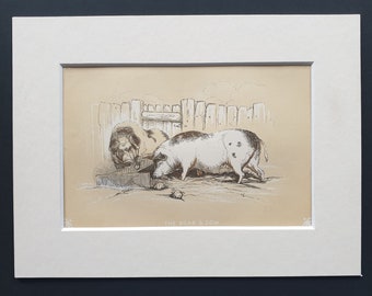 The Boar and Sow - Original 1851 John Tallis woodblock print