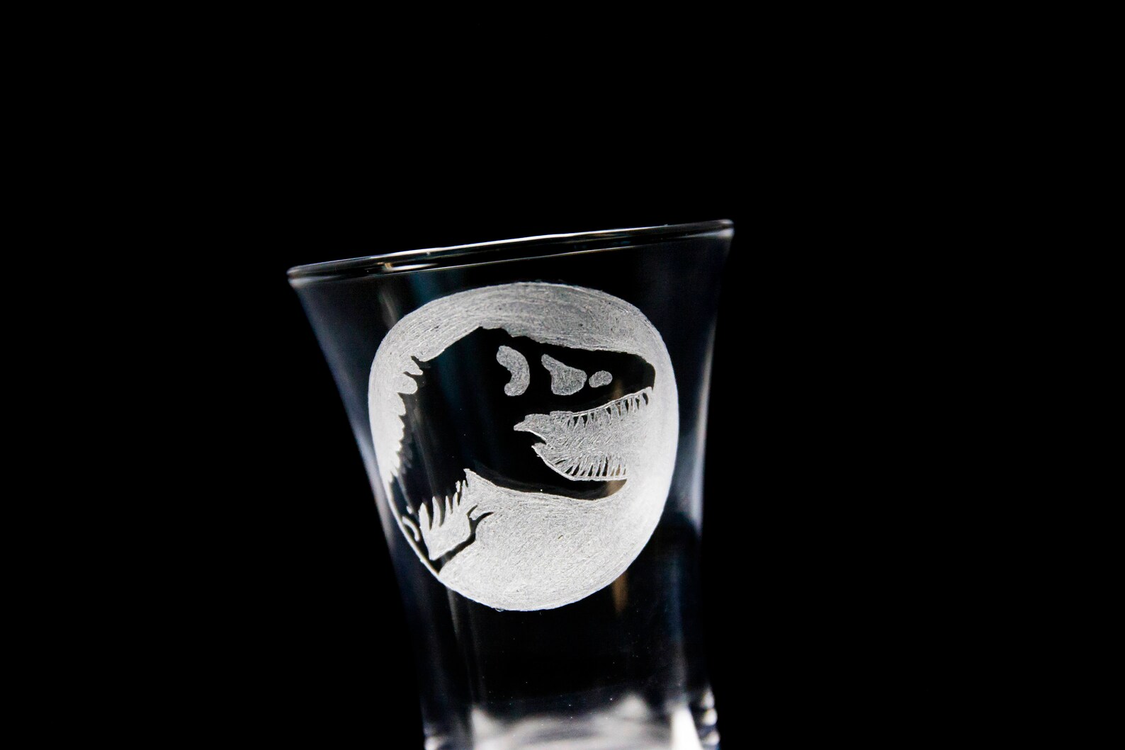 6 x Jurassic Park Shot Glasses Etsy