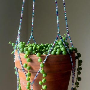 May include: A terracotta pot filled with a String of Pearls plant, suspended by a beaded plant hanger. The plant has small, round, green leaves. The hanger is made of colorful beads in shades of blue, purple, and clear.