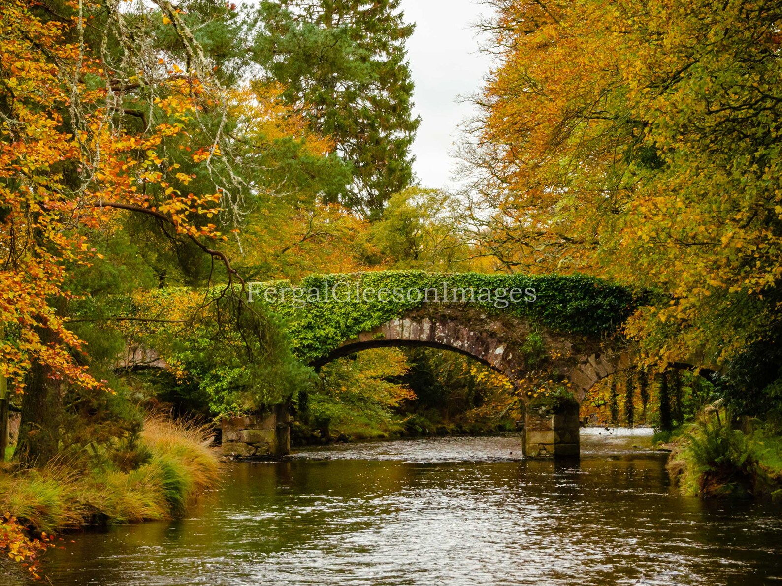 Irish Landscapes Photography Prints Pictures of Ireland Etsy