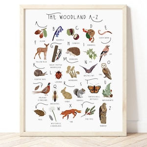 Stampa Woodland dalla A alla Z, poster Woodland, decorazioni per la cameretta dei bambini Woodland, stampa animali del bosco per bambini, stampa alfabeto per la cameretta dei bambini, stampa Woodland, stampa carina