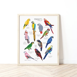 Póster de loros, Impresión de pájaro tropical, Ilustración de loro, Regalo de loro, Póster de pájaro, Decoración del hogar en la jungla, Arte de pared de vivero, Pájaros coloridos