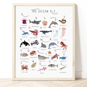Stampa oceano dalla A alla Z, poster animali dell'oceano, decorazione oceano per bambini, stampa animali marini per bambini, stampa alfabeto per bambini, stampa vita marina, stampa carina
