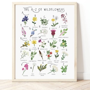 Poster di fiori selvatici dalla A alla Z, stampa di fiori selvatici, poster botanico, stampa di identificazione delle erbacce, poster di storia naturale, stampa di piante, regalo di piante
