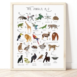 Dschungel A-Z Druck, Dschungeltiere Poster, Kinderzimmer Dekor, personalisierter Druck, Dschungel Illustration, Tierplakat, Kinderzimmer Wandkunst