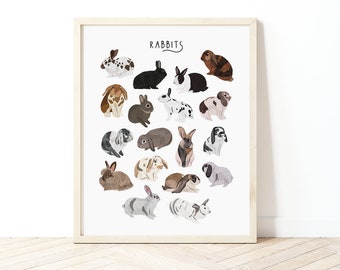 Rabbits Poster, Types of Rabbits, Pet Rabbits Gift, Rabbits Illustration, Pet Gifts, Rabbit Breeds, Rabbit lovers gift, Cute art, Bunnies