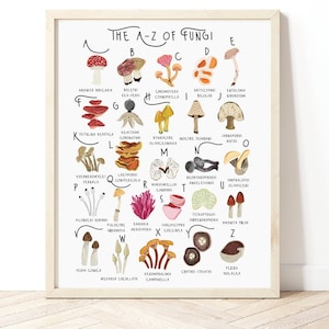 Champignons de A à Z, impression de microbiologie, affiche d'histoire naturelle, impression de champignons et de champignons vénéneux, identification de champignons, affiche de champignons, impression de nature