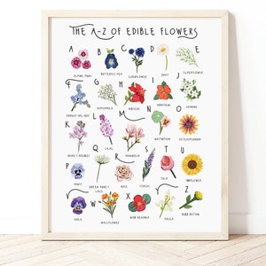A-Z poster met eetbare bloemen, bloemen alfabet, bloemen poster illustratie, foerageren illustratie, plantenliefhebbers cadeau, bloemen poster