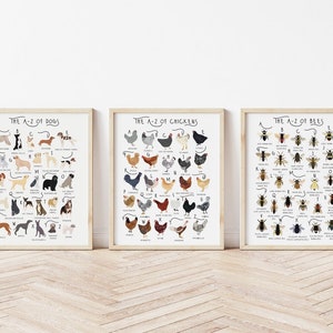 3 affiches de A à Z, mélangez et assortissez les caractères de l'alphabet, caractères de A à Z, affiches d'animaux, décoration murale de chambre d'enfant, impression d'identification d'espèce, nouvel article d'art pour la maison