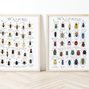 2 beliebige A-Z Poster, Mix und Match Alphabet Drucke, A-Z Poster, Kinderzimmer-Wandkunst, Lernposter, Artenidentifikationsposter, Drucke