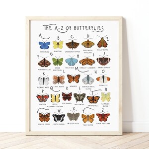 A-Z of Butterflies Poster, Types of Butterflies, Butterflies Poster, Butterflies Alphabet, Alphabet Print, Nursery Decor, Insect poster