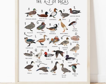 A-Z Ducks Alphabet Poster, Bird Illustration, Duck Lover Gift (Digital Print)