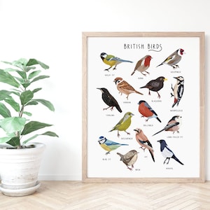 British Birds Poster, Bird Identification Print, Natural History Poster, Bird Illustration, Type of birds, Bird lovers gift, Bird watching