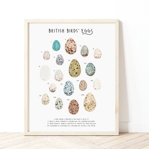 British Birds Eggs Poster, Birds Eggs Print, Tabla de identificación de huevos, Nature Print, Regalo para los amantes de las aves, Impresión de aves, Impresión de historia natural