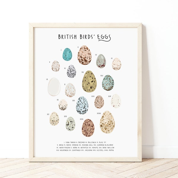 British Birds Eggs Poster, Birds Eggs Print, Eggs identification chart, Nature Print, Bird lovers gift, Bird print, Natural history print