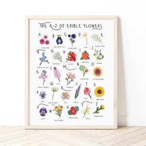 A-Z of Edible Flowers Poster, Flowers Alphabet, Flowers Poster Illustration, Foraging Illustration, Plant Lovers Gift, Flowers Poster