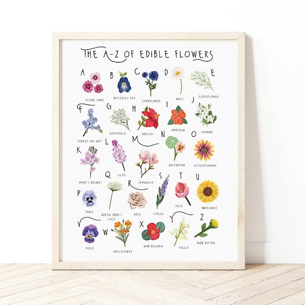 A-Z of Edible Flowers Poster, Flowers Alphabet, Flowers Poster Illustration, Foraging Illustration, Plant Lovers Gift, Flowers Poster